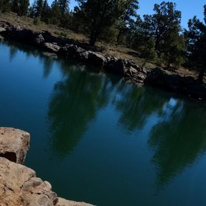 Meet your Posher, Trey